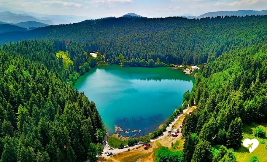 Artvin Site Aç