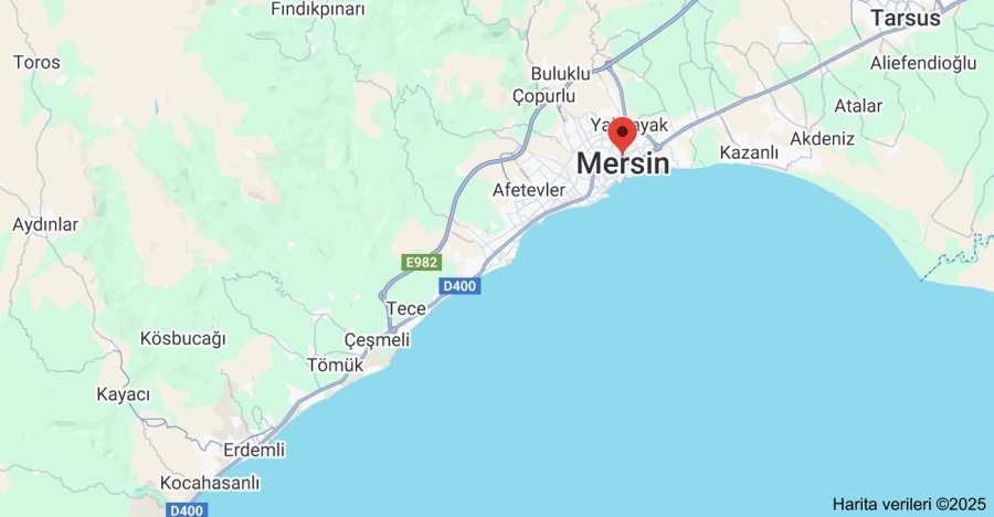 Mersin Internet Sitesi Kur