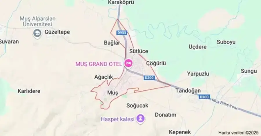 Muş Web Tasarım