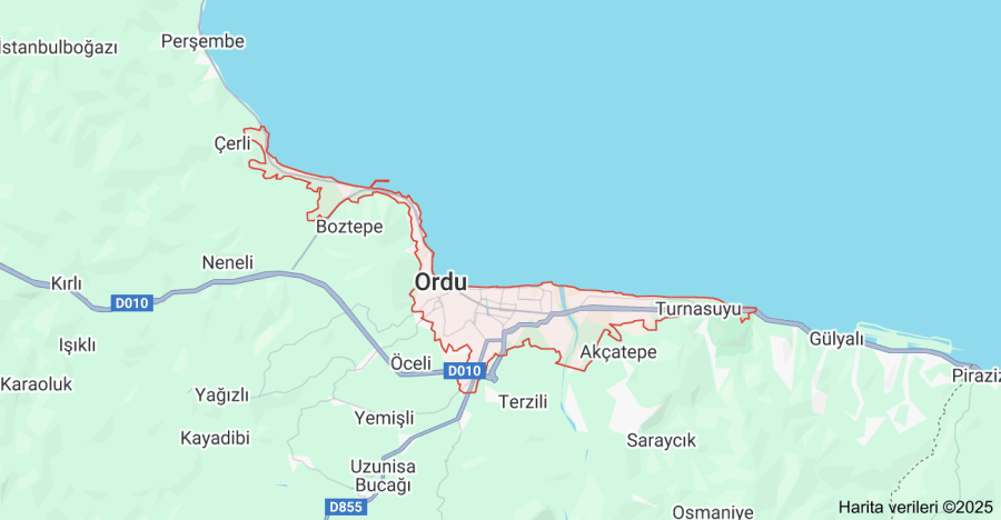 Ordu Internet Sitesi Kur