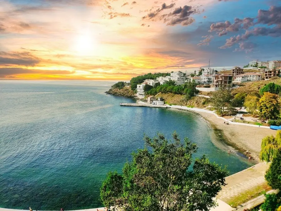 Sinop Web Tasarım